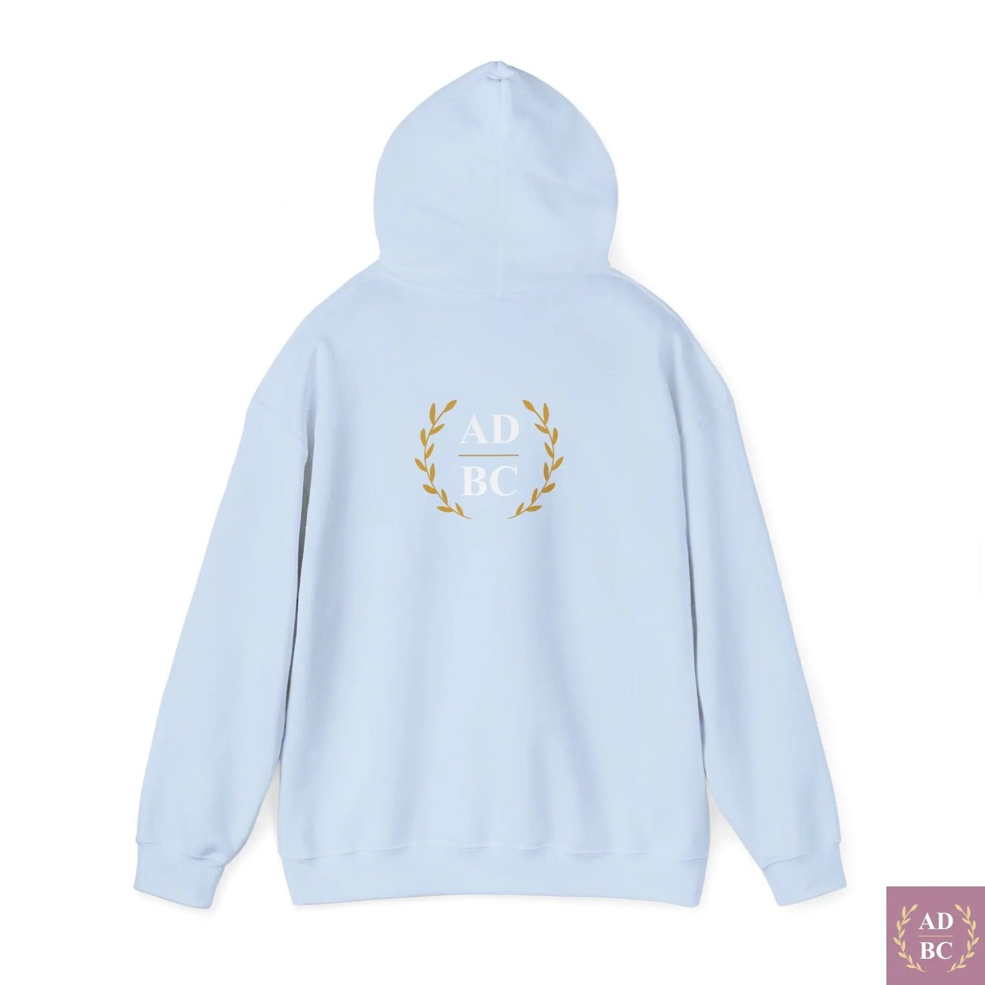 What Does It Mean To Want - Meme Hoodie  Hoodie AD/BC