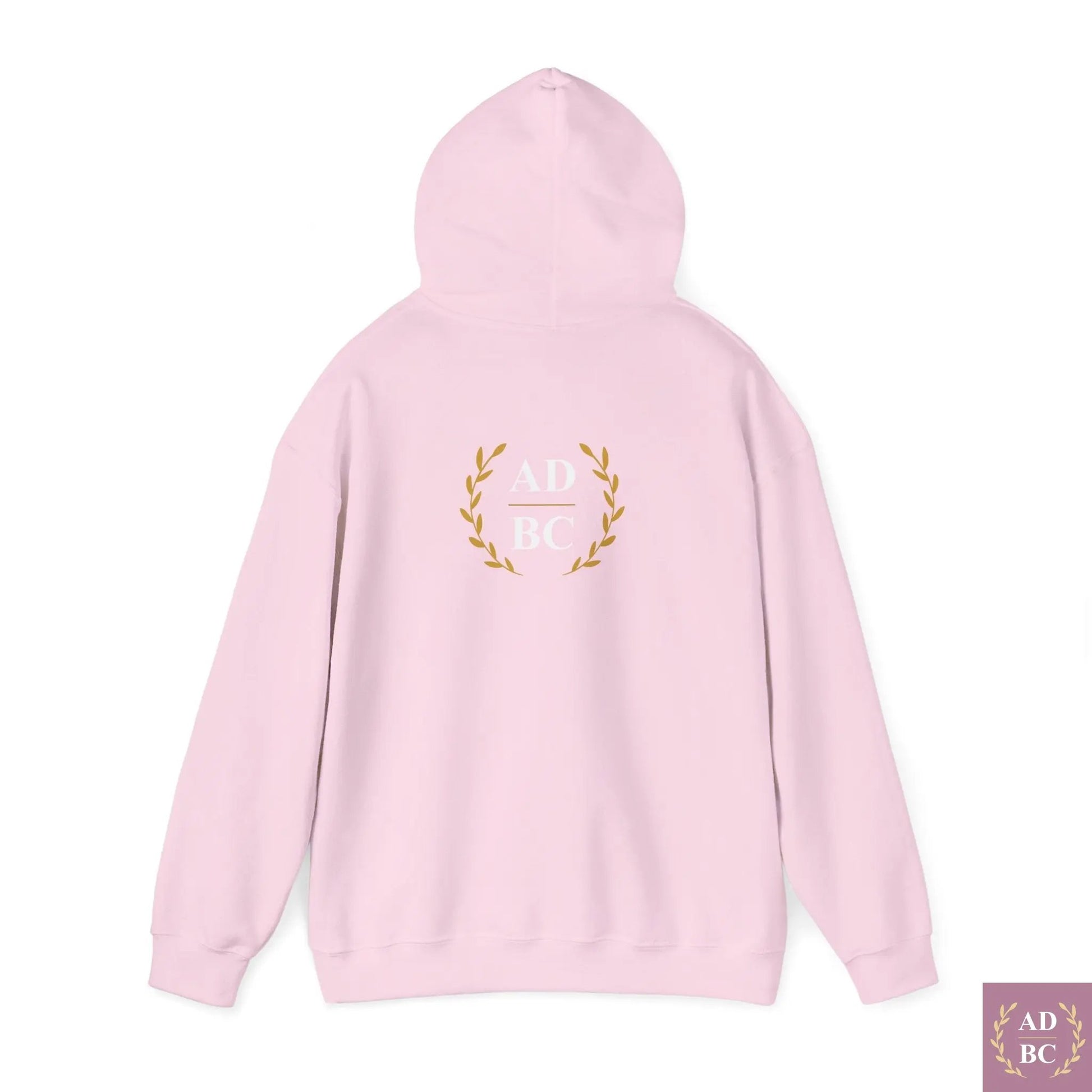 What Does It Mean To Want - Meme Hoodie  Hoodie AD/BC